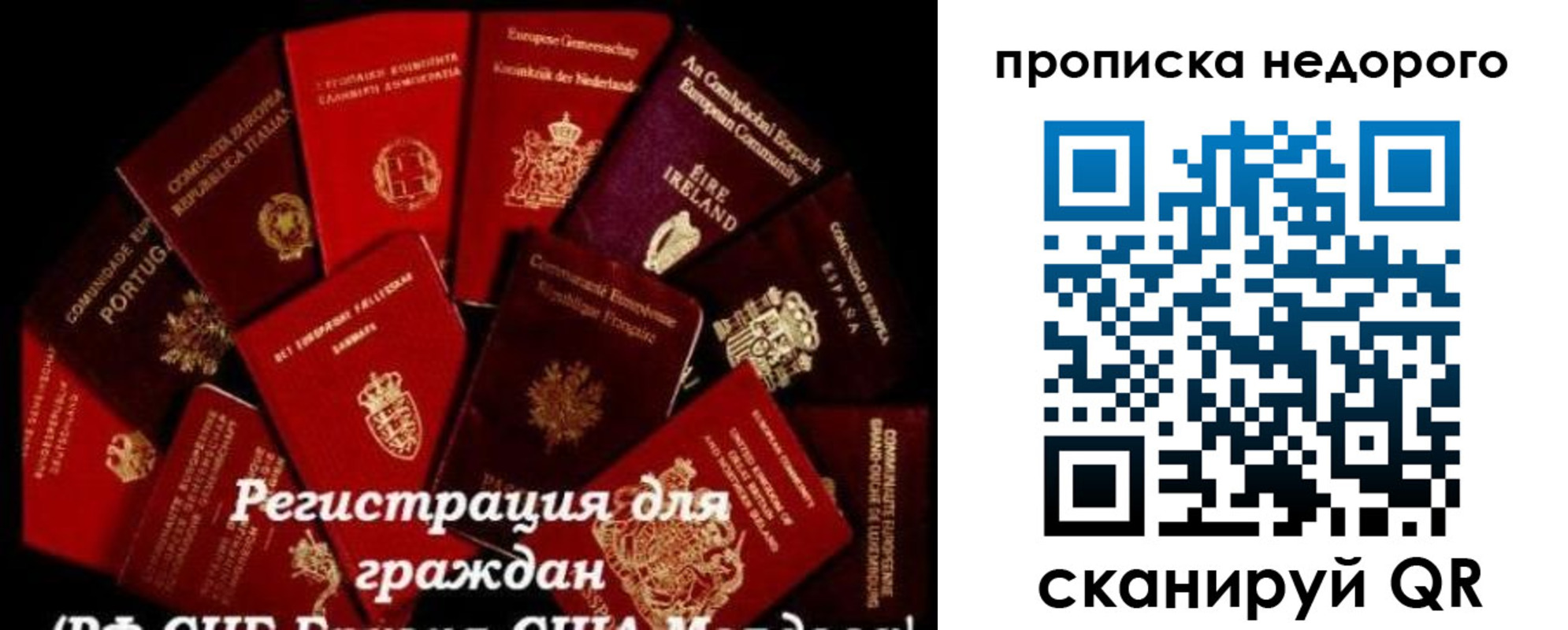 временная регистрация недорого в Немане